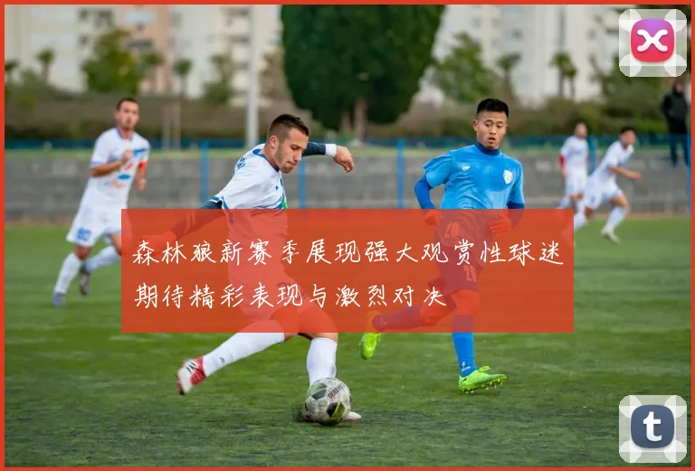 森林狼新赛季展现强大观赏性球迷期待精彩表现与激烈对决