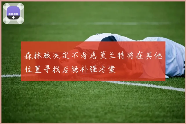 森林狼决定不考虑莫兰特将在其他位置寻找后场补强方案