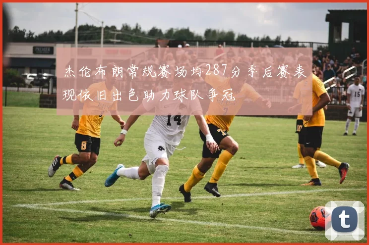 杰伦布朗常规赛场均287分季后赛表现依旧出色助力球队争冠